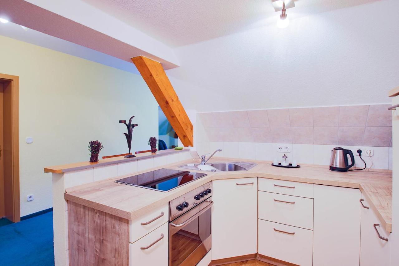 Ferien Hotel Villa Suedharz Sülzhayn Kültér fotó
